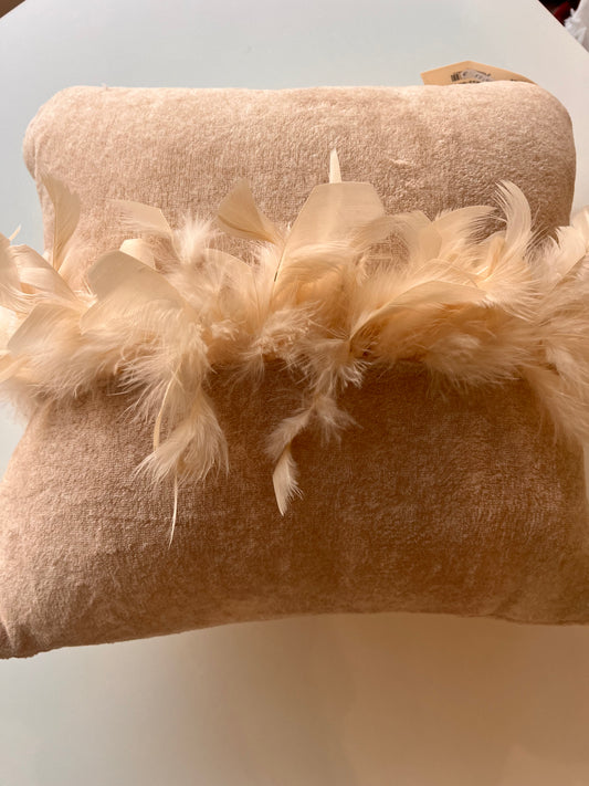 Cuscino piume Beige